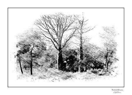 Digital drawing of my photo